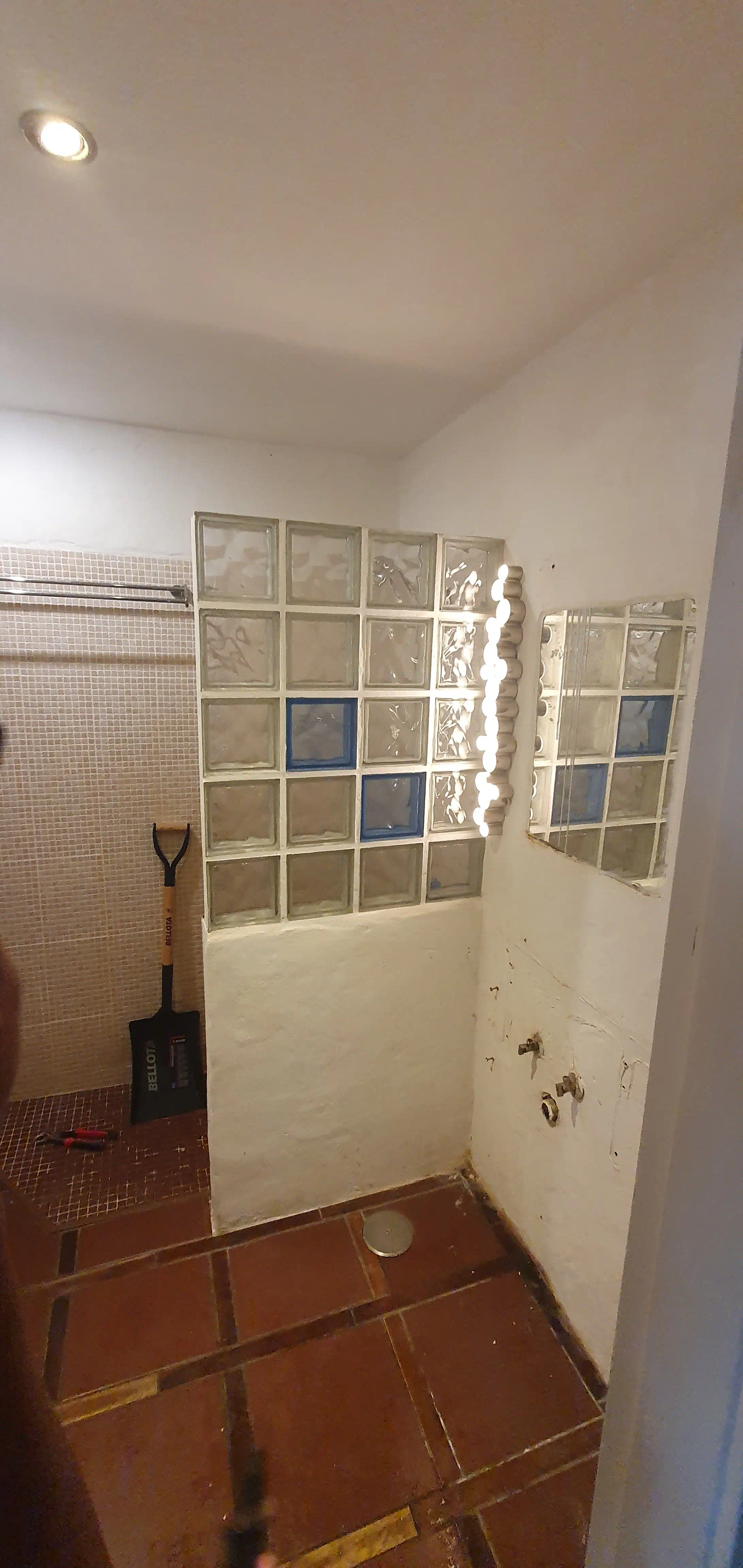 Estado original del área de ducha y sanitarios en el baño principal