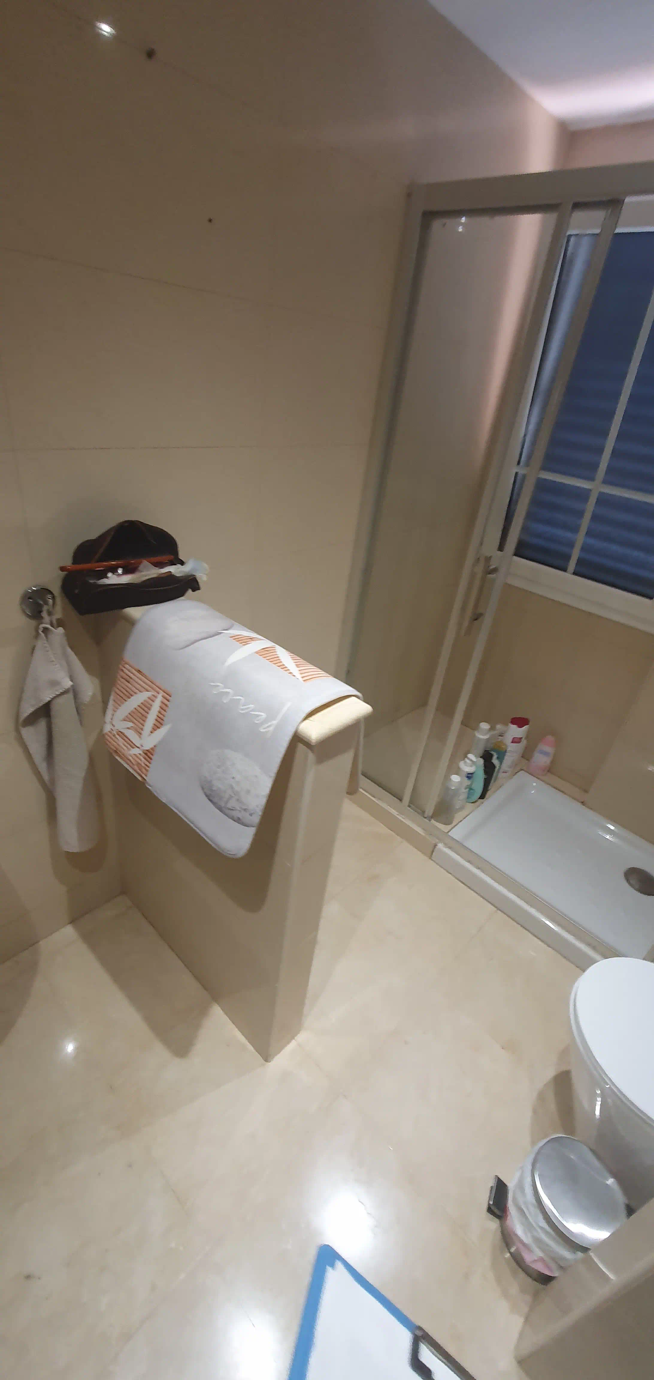 Zona original de ducha y sanitarios en baño antes de la reforma integral