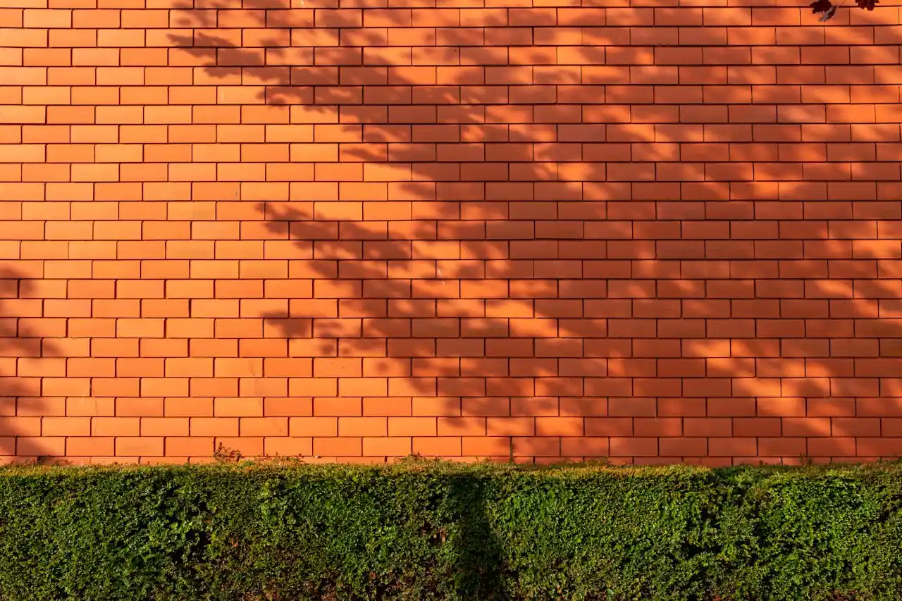 Revestimientos Decorativos de Pared 2026: Piedra, Madera y Paneles con Precios